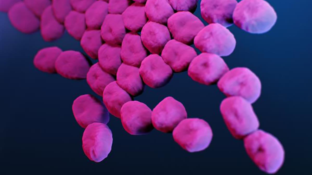 Medical illustration of Carbapenem-resistant acinetobacter