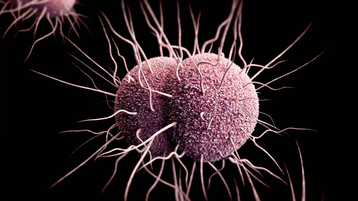 Computer illustration of a Neisseria gonorrhoeae that appears as two rounded halves with menacing tendrils coming out in all directions.
