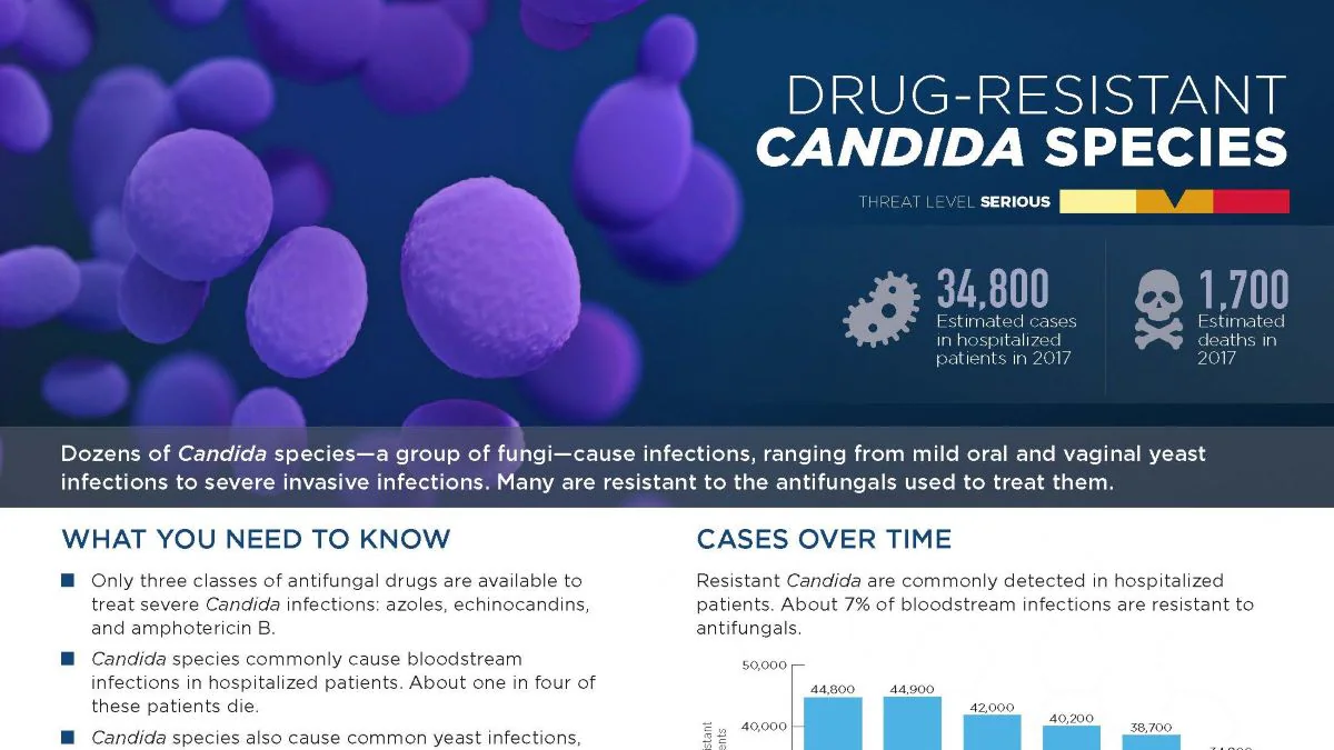 candida species thumbnail