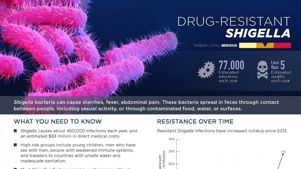 shigella thumbnail