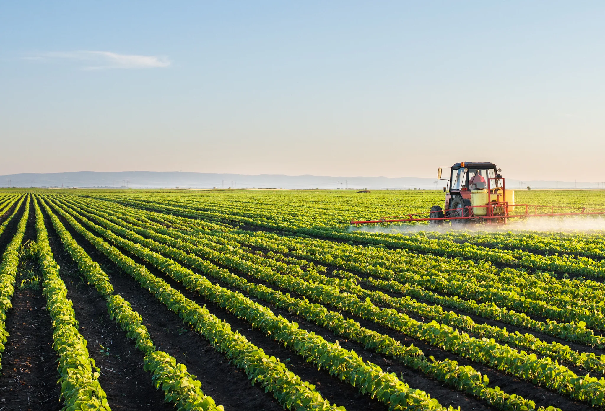 Tractor working in grain field