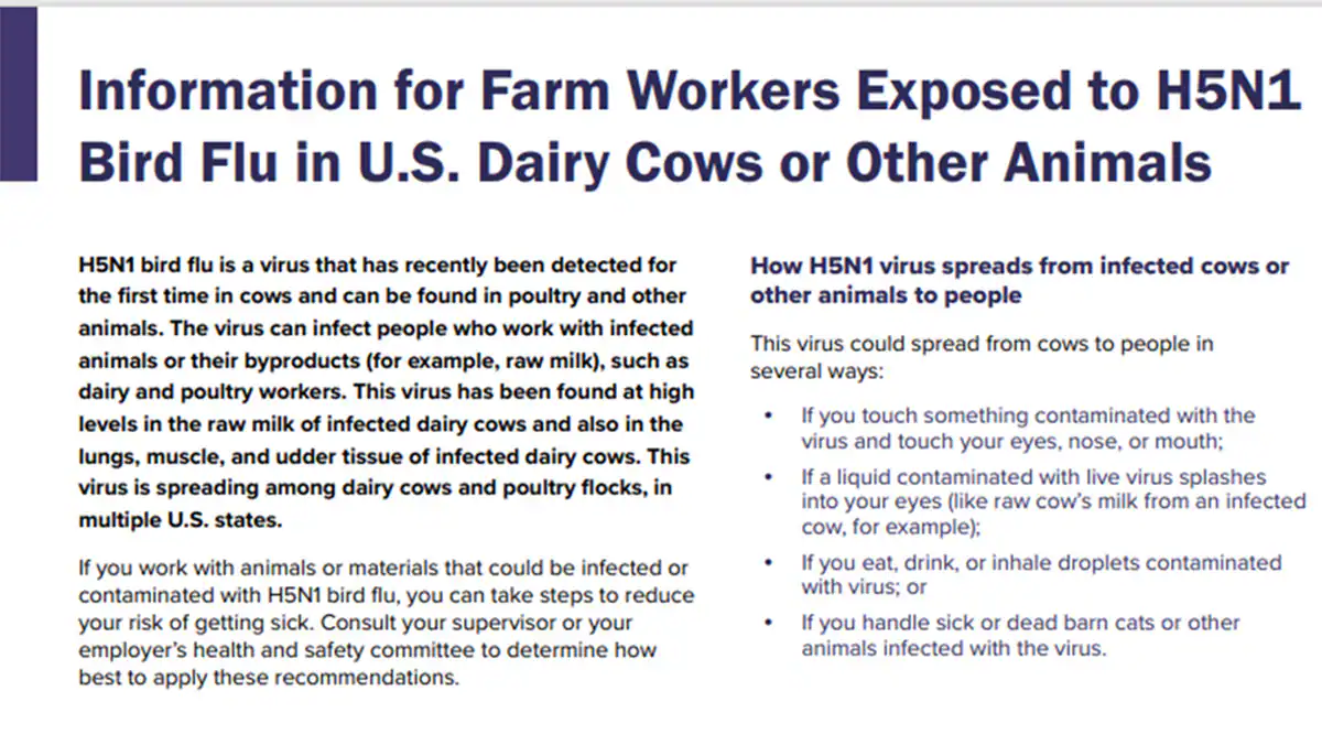 Information for Farm Workers (English) If you work with dairy cows, or other animals that could be infected with H5N1 bird flu, there are actions you can take to reduce your risk of infection.