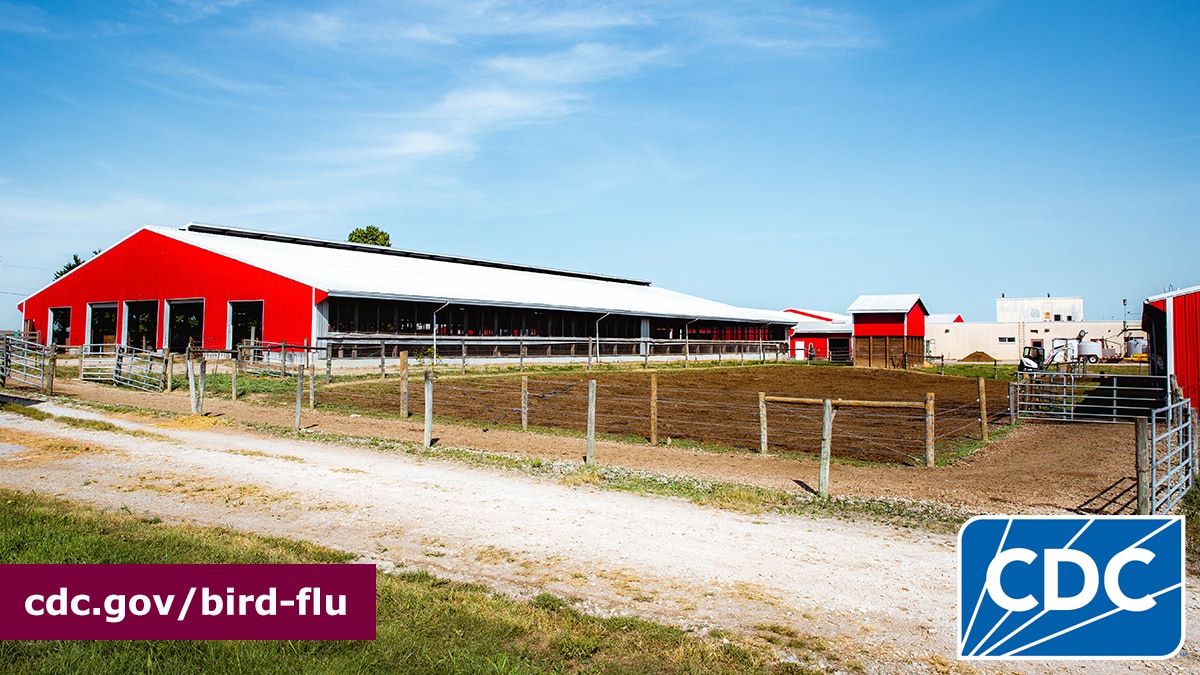 An image of a red-colored barn at a farm. The CDC logo and the "cdc.gov/bird-flu" are at the lower part of the image.