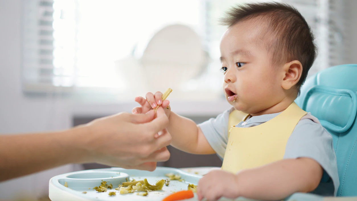 A baby, seated in a highchair, receives corn from her mother.