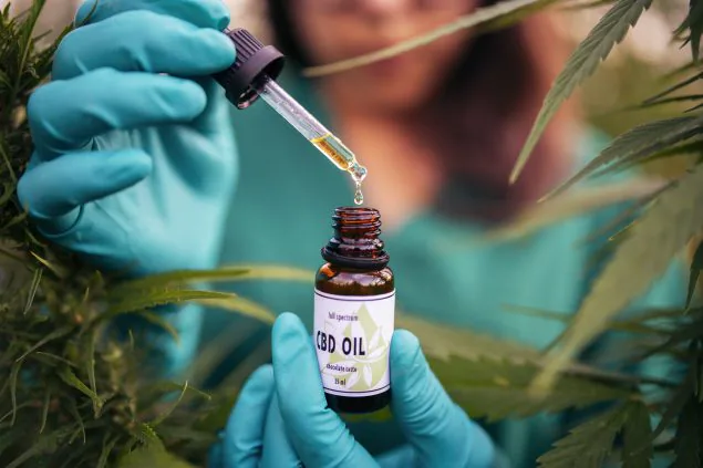 Gloved hands holding dropper above a bottle labeled 'CBD OIL'.