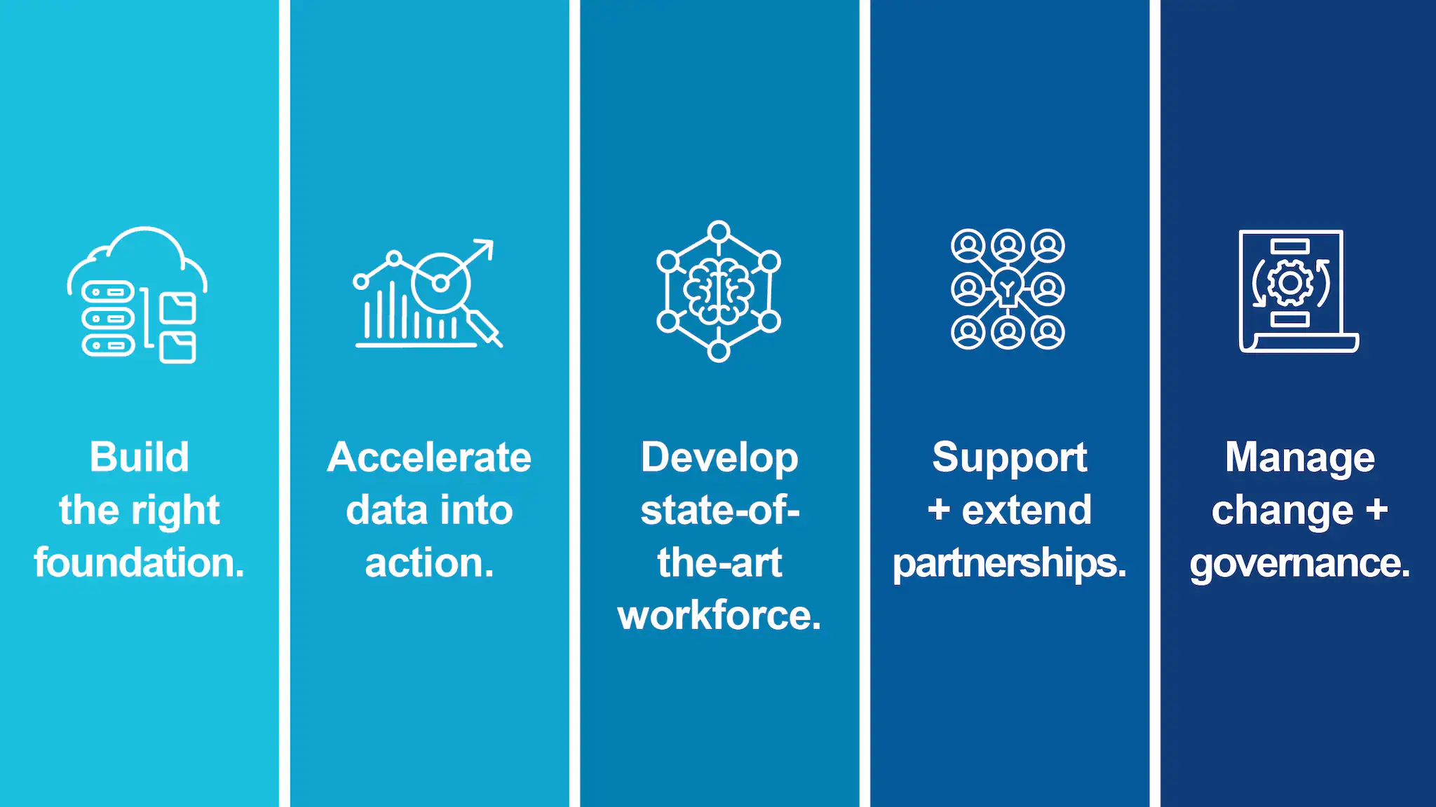 The five DMI priorities.