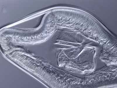 Case249_B.jpg
