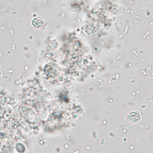 Case337_B.jpg