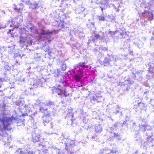 Case452_B Case Study Image