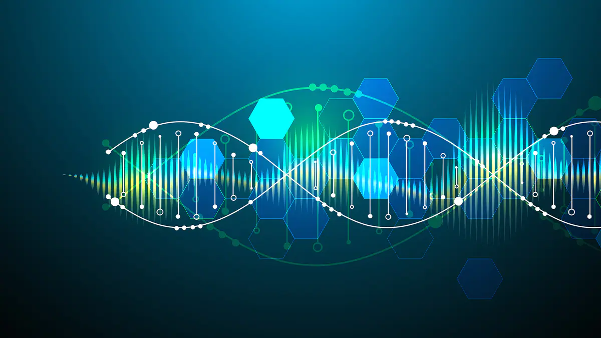 Graphic of a fragile x syndrome chromosome