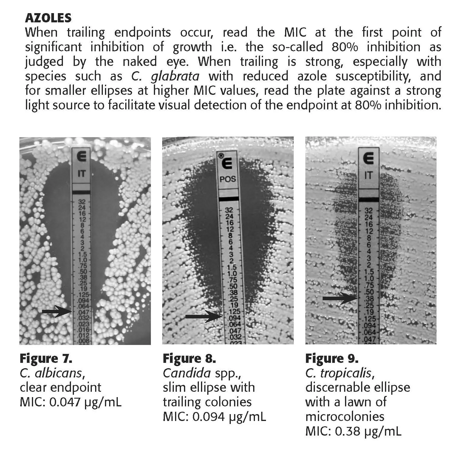 Azoles - when trailing endpoints occur, read the MIC at the first point of significant inhibition of growth i.e. the so-called 80% inhibition as judged by the naked eye.