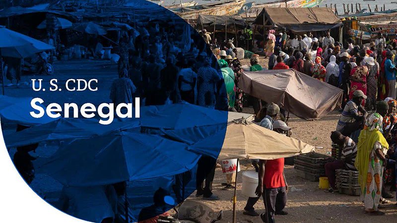 Crowded outdoor market scene in Senegal with various vendors and people.