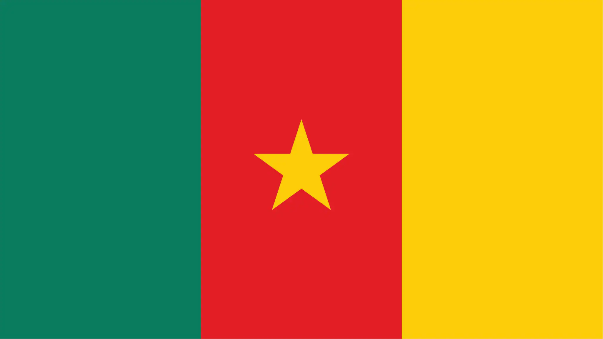 Flag of Cameroon. Three equal vertical bands of green (hoist side), red, and yellow, with a yellow five-pointed star centered in the red band.