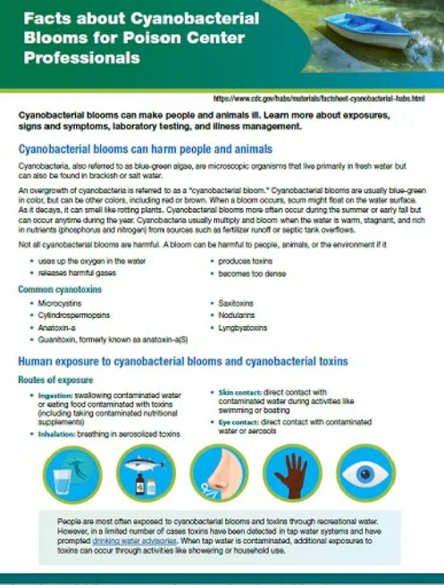 thumbnail of facts about cyanobacterial blooms for poison center professionals