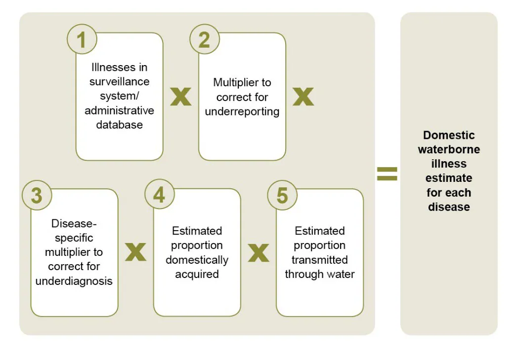 Five white boxes numbered 1-5 listing the variables used to calculate illness estimates for each disease