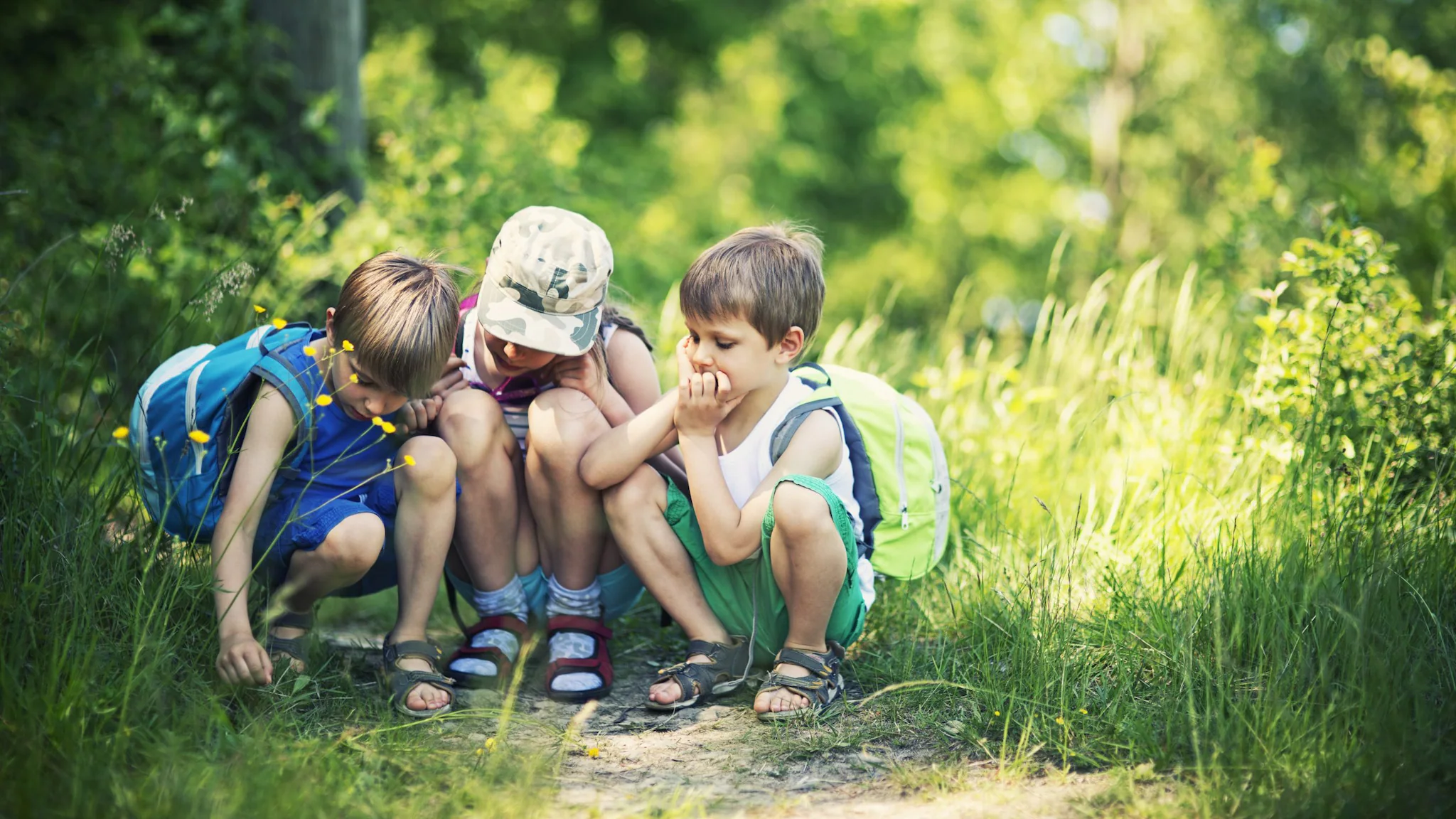 Three children in the woods looking at the ground