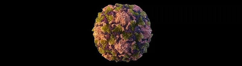 Polio virus Polio virus