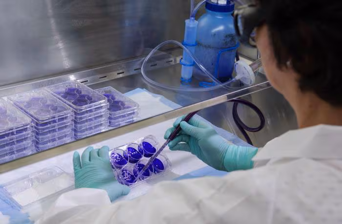 intro03 CDC scientist was shown performing a virus plaque assay,