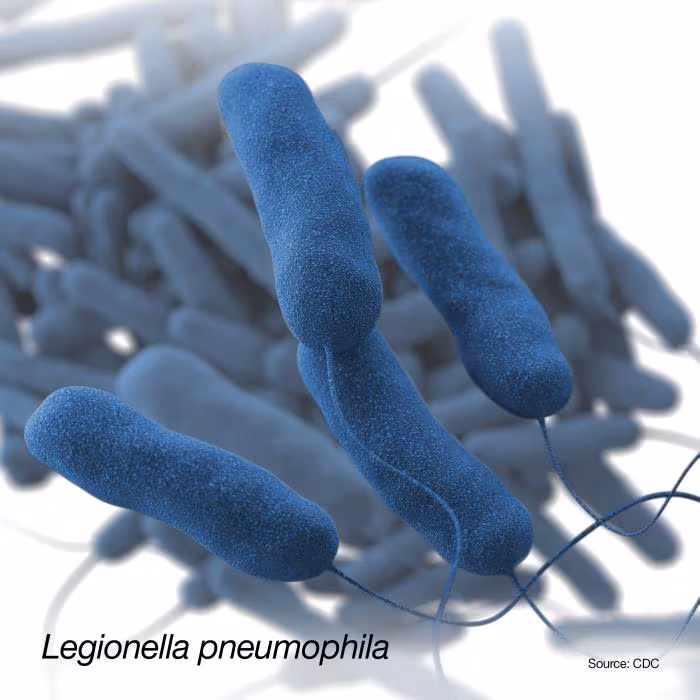 phapproach03 Bacteria