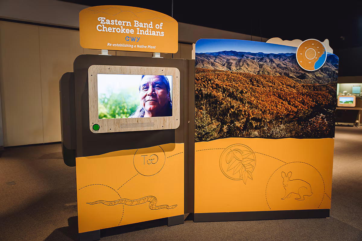 Orange exhibit panel wall reading 'Eastern Band of Cherokee Indians, Re-establishing a Native Plant'. There is a digital screen of a native male and a large image of mountains and grains.