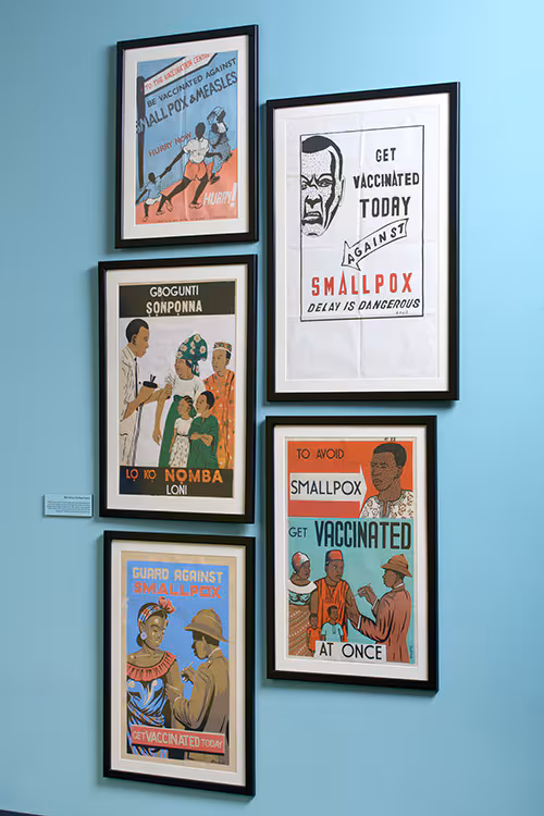 smallpox-posters-500x750px smallpox posters