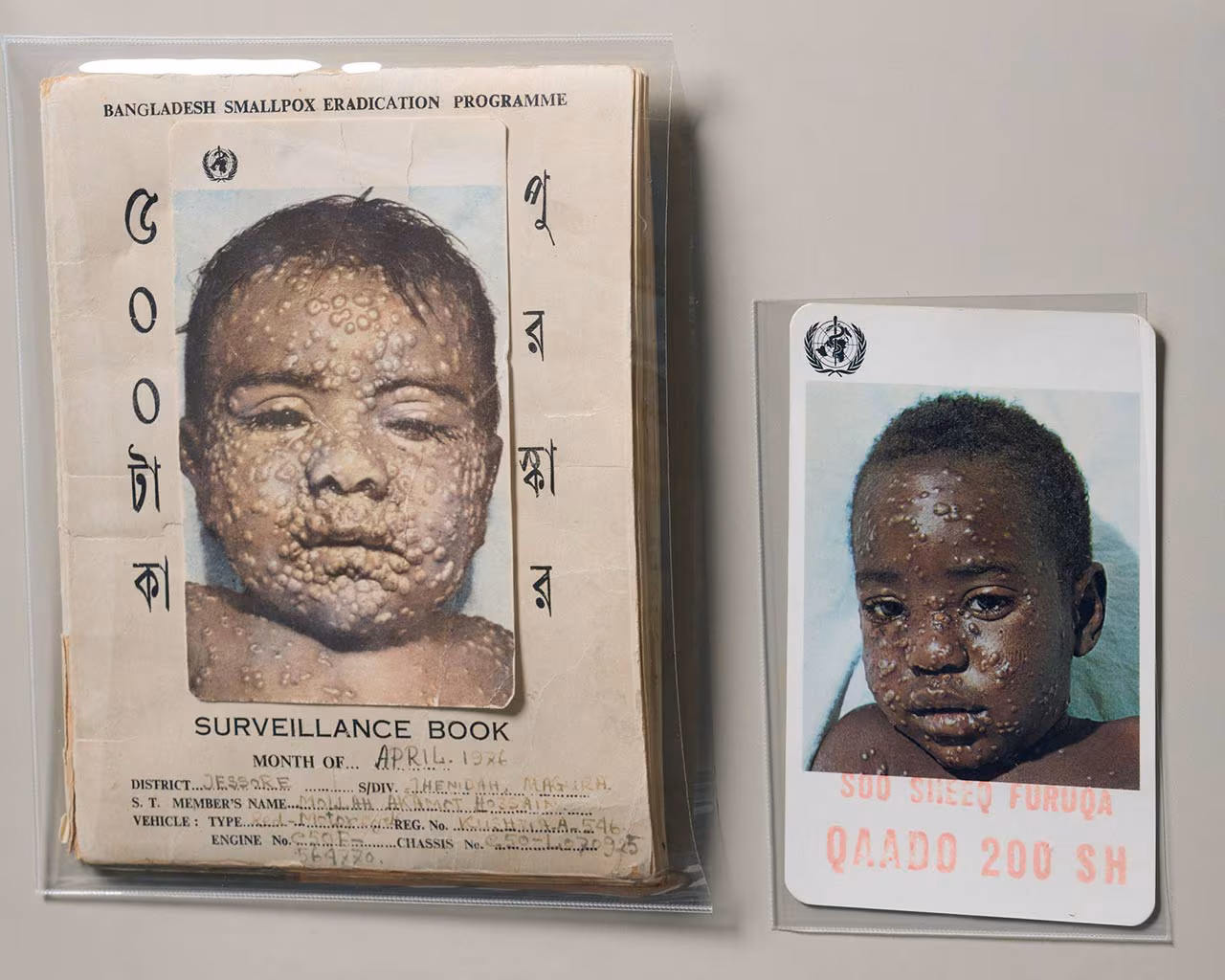 smallpox-surveillance-1280px smallpox surveillance
