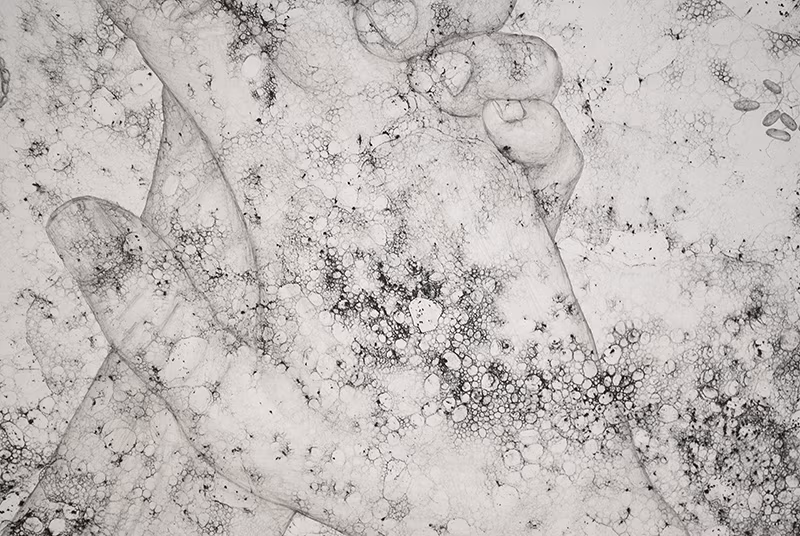 Surface Tension 16