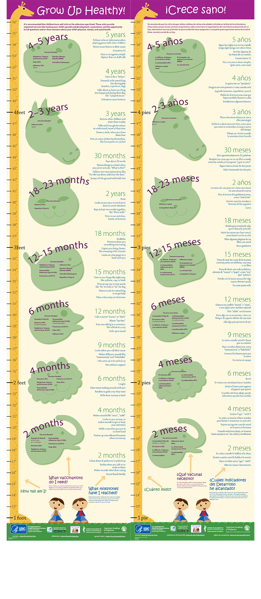 growth chart Spanish & English