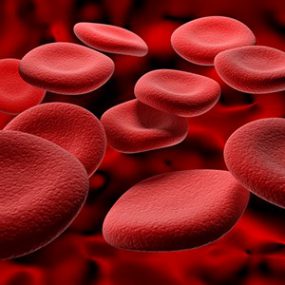 blood cells