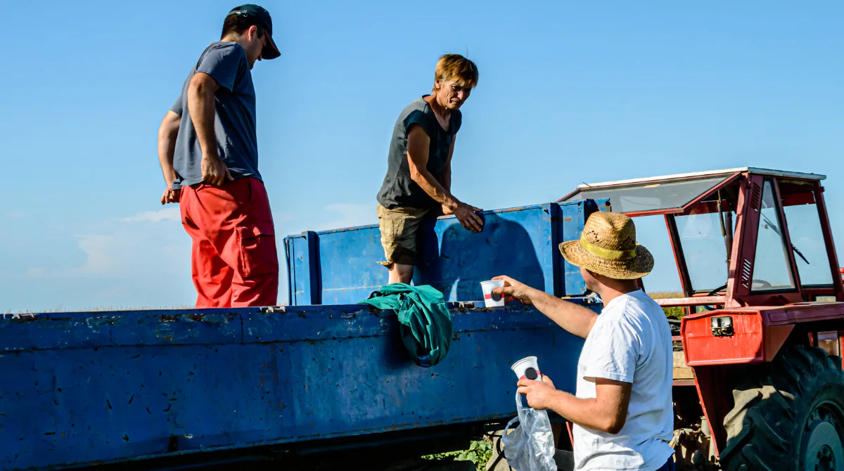 Employer handing out water to workers