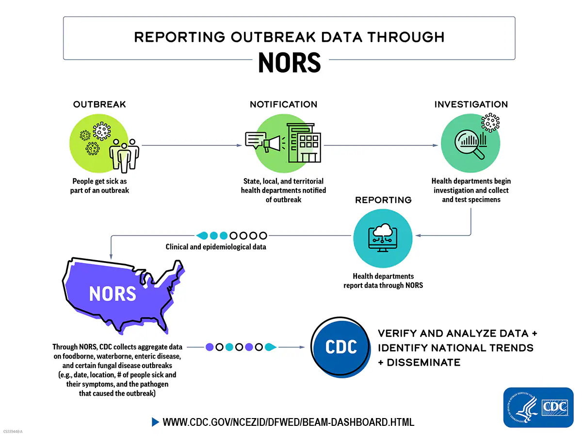 about-nors-update A flow chart that takes users through reporting steps and ways CDC uses the data collected through NORS.