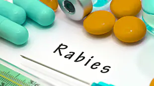 Rabies text with syringe and medications