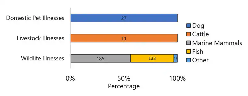 Figure 13 is a bar chart showing the types of animals that were reported ill during 2019, in the categories of domestic pets, livestock, and wildlife.