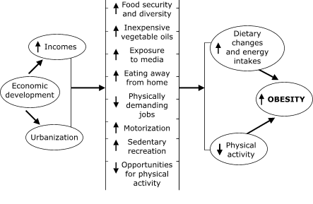 Flow chart diagramming the paragraph above.