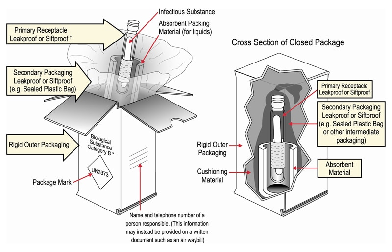 Diagram showing how to securely package Category B infectious substances for shipping