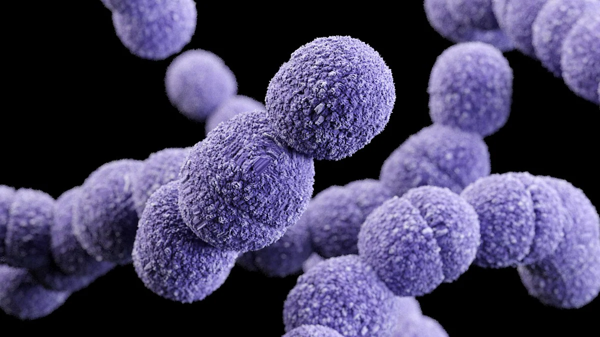 A computer-generated image of Streptococcus agalactiae, which are also called group B strep bacteria.