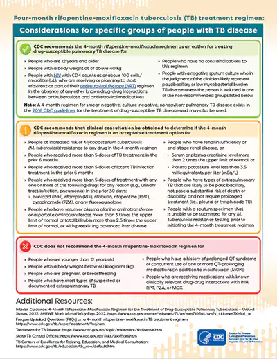 Cover of 'TB Treatment Group Considerations' PDF