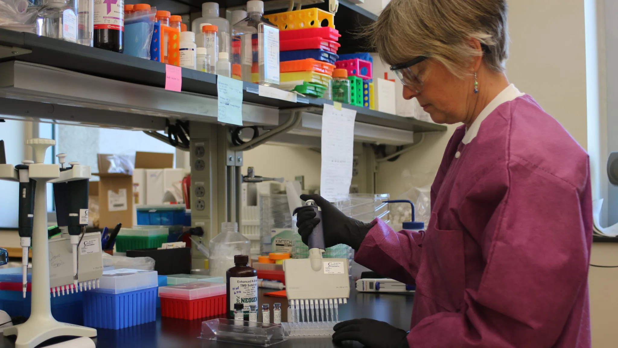 lab worker performing a diagnostic test