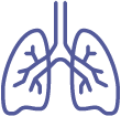 Icon of human lungs